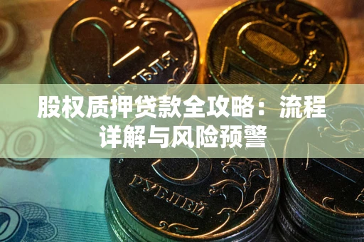 武汉股权质押贷款全攻略：流程详解与风险预警