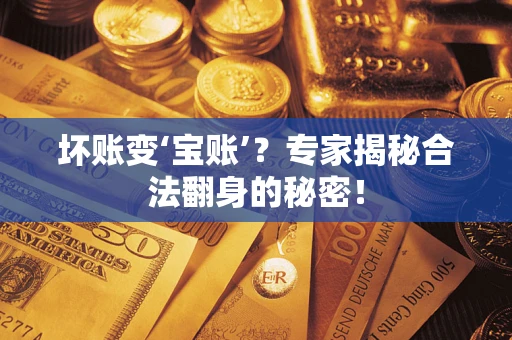 武汉坏账变‘宝账’？专家揭秘合法翻身的秘密！