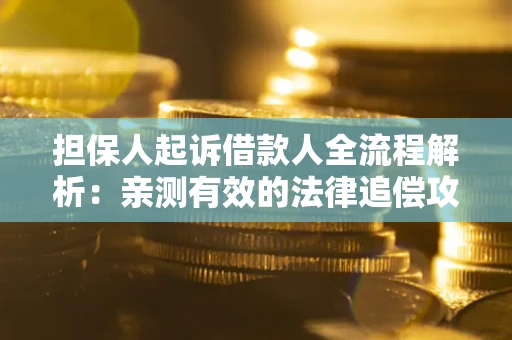 武汉担保人起诉借款人全流程解析：亲测有效的法律追偿攻略