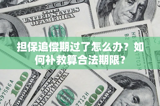 武汉担保追偿期过了怎么办？如何补救算合法期限？