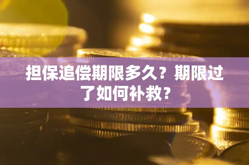 武汉担保追偿期限多久？期限过了如何补救？