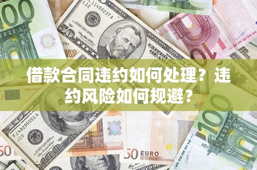 武汉借款合同违约如何处理？违约风险如何规避？