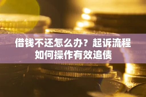 武汉借钱不还怎么办？起诉流程如何操作有效追债