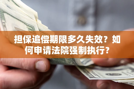 武汉担保追偿期限多久失效？如何申请法院强制执行？