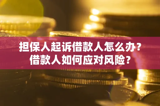 武汉担保人起诉借款人怎么办？借款人如何应对风险？