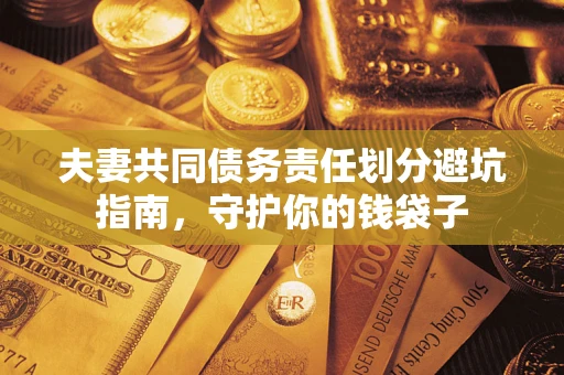 武汉夫妻共同债务责任划分避坑指南，守护你的钱袋子