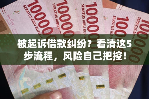 武汉被起诉借款纠纷？看清这5步流程，风险自己把控！