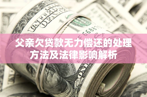 武汉父亲欠贷款无力偿还的处理方法及法律影响解析