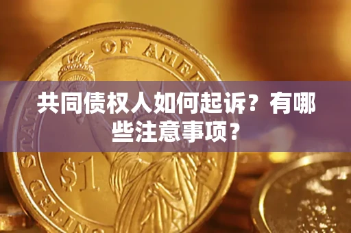 武汉共同债权人如何起诉？有哪些注意事项？