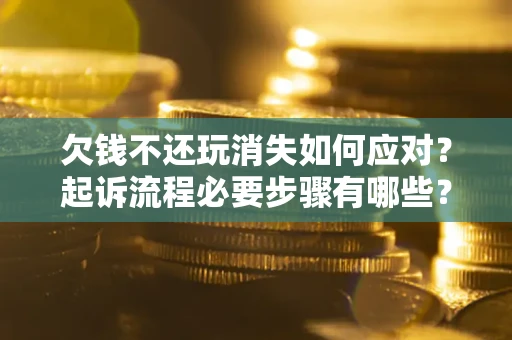 武汉欠钱不还玩消失如何应对？起诉流程必要步骤有哪些？